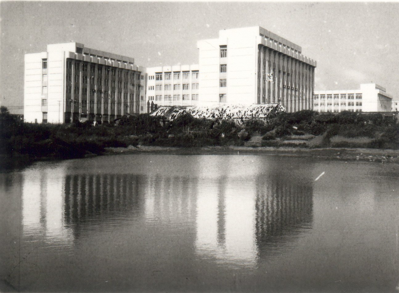 乐鱼登录平台